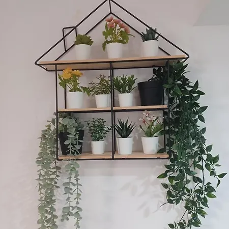 Casa Do Barqueiro - * Porto